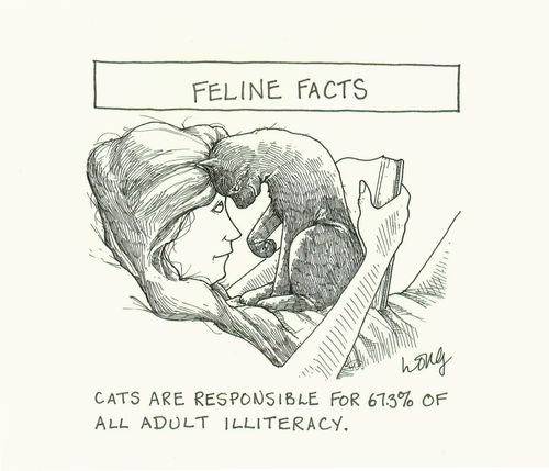 Feline Facts: Cats are responsible for 67.3% of all adult illiteracy.