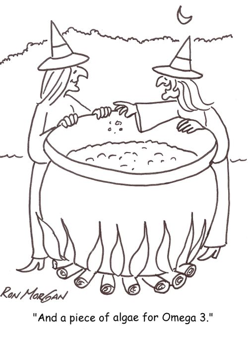 'And a piece of algae for Omega 3.'