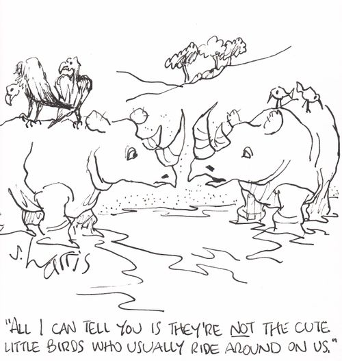 'All I can tell you is they're not the cute little birds who usually ride around on us.'