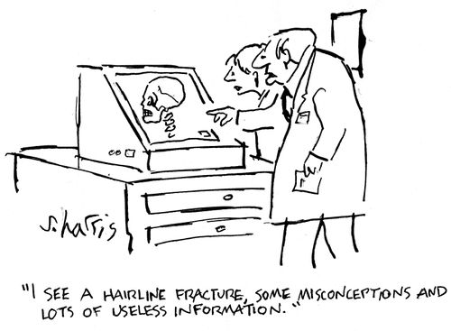 'I see a hairline fracture, some misconceptions and lots of useless information.'