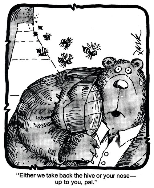 'Either we take back the hive or your nose - up to you, pal.'