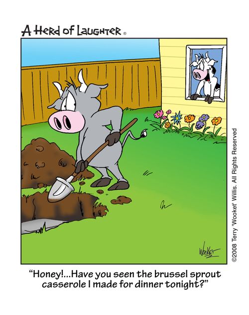 ''Honey!...Have you seen the brussel sprout casserole I made for dinner tonight?'