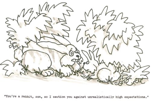'You're a rabbit, son, so I caution you againsr unrealistically high expectations.'