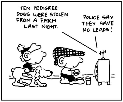 'Ten pedigree dogs were stolen from a farm last night. Police say they have no leads.'