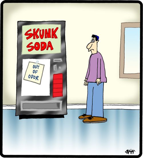 Skunk soda- out of odor.