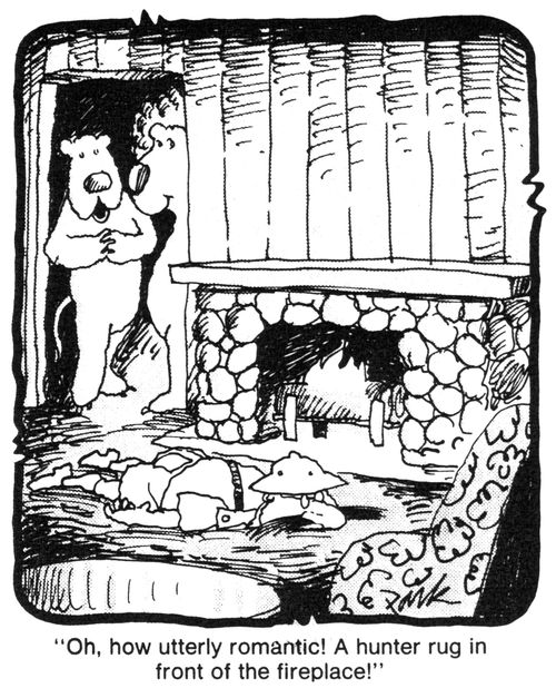 'Oh, how utterly romantic! A hunter rug in front of the fireplace!'