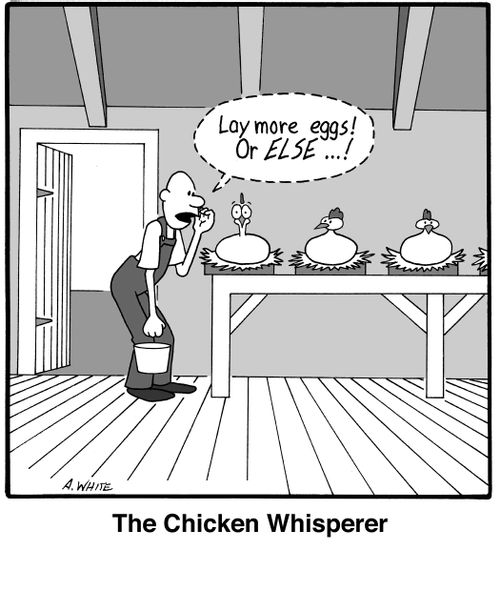 The Chicken Whisperer