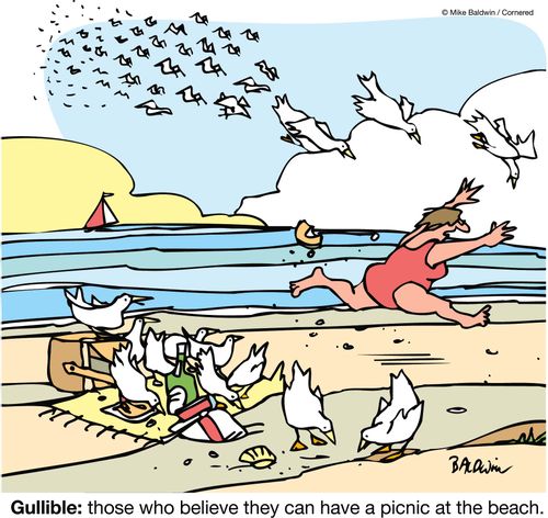 Gullible: those who believe they can have a picnic at the beach.