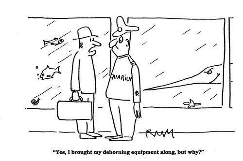 'Yes, I brought my dehorning equipment along, but why?'