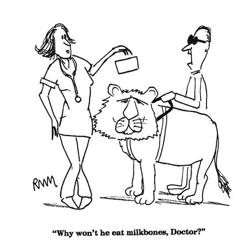 'Why won't he eat milkbones, Doctor?'