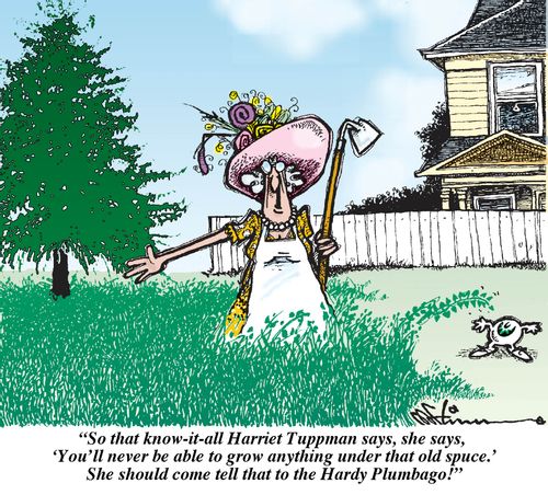 'So, that know-it-all Harriet Tuppman says...'