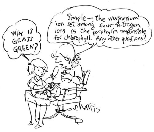 'Why is grass green?'  'Simple the magnesium ion....chlorophyll