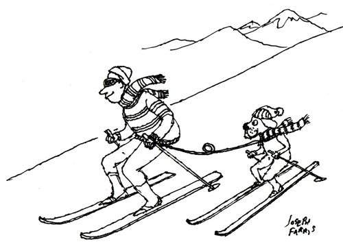 Dog skiing with owner