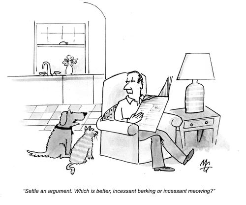 'Settle an argument. Which is better incessant barking or meowing?'