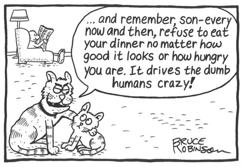 '…and remember, son - every now and then, refuse to eat your dinner no matter how good it looks or how hungry you are. It drives the dumb humans crazy!' 