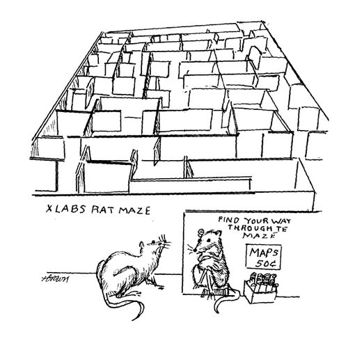 Lab Rat Entrepreneur.