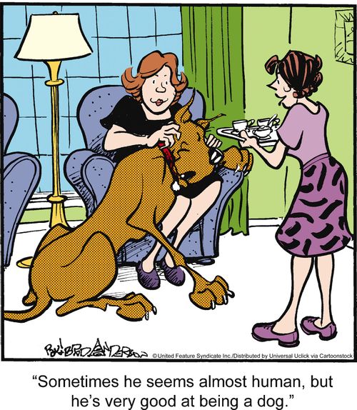 'Sometimes he seems almost human, but he's very good at being a dog.'