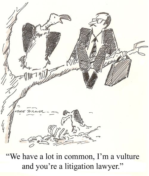'We have a lot in common, I'm a vulture and you're a litigation lawyer.'