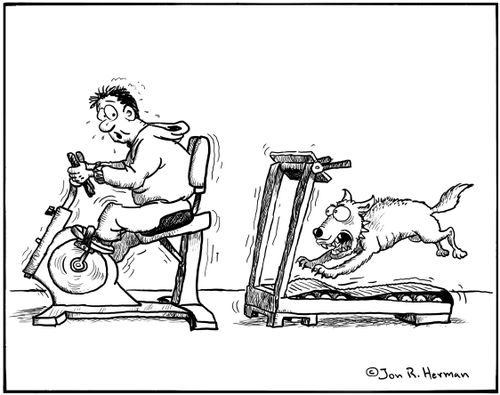 Man on cycling machine being chased by a dog on a running machine.