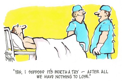 'Yes, I suppose it's worth a try - after all we have nothing to lose.'