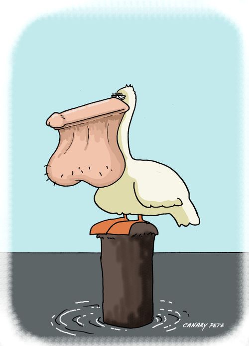 Penikan.