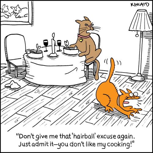 'Don't give me that 'hairball' excuse again. Just admit it - you don't like my cooking!'