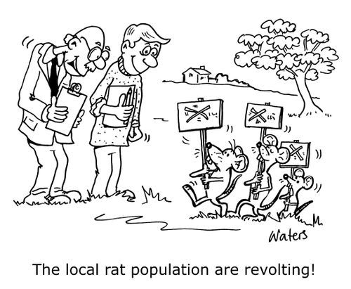 'The local rat population are revolting!'