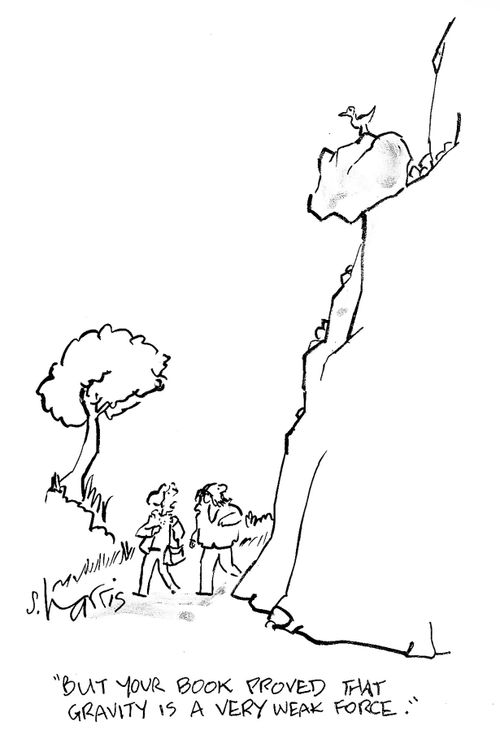 'But your book proved that gravity is a very weak force.'