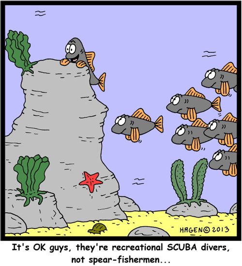 'It's OK guys, they're recreational SCUBA divers, not spear-fishermen...'