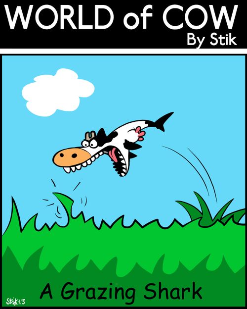 A Grazing Shark