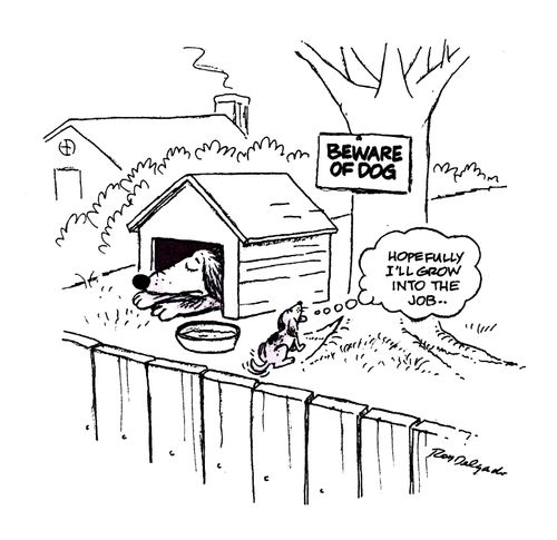 'Hopefully I'll grow into the dog...'
