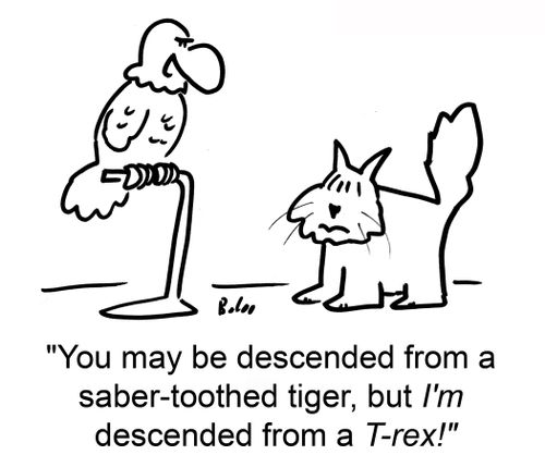 'You may be descended from a saber-toothed tiger, but I'm descended from a T-rex!'