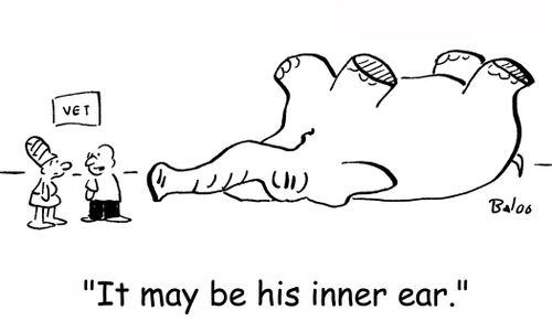 'It may be his inner ear.'