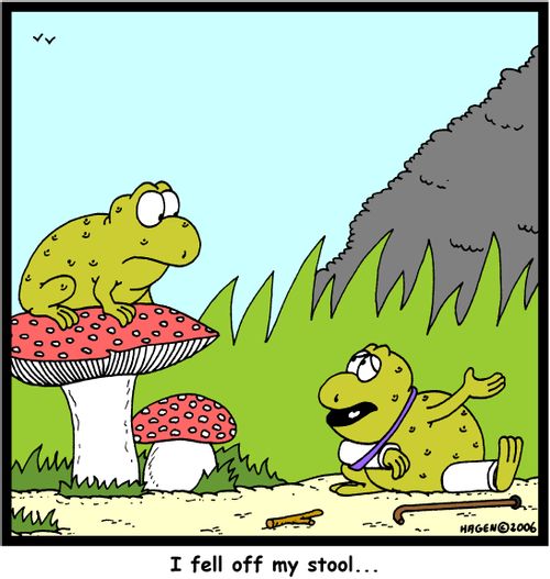 'I fell off my stool...'