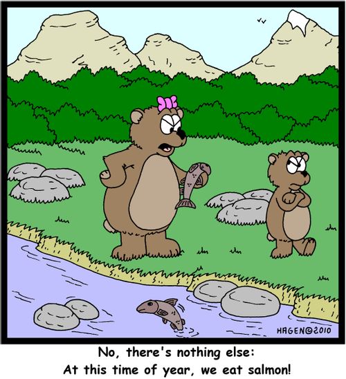 'No, there's nothing else: At this time of year, we eat salmon!'