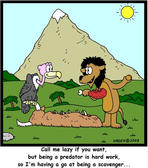 'Call me lazy if you want, but being a predator is hard work, so I'm having a go at being a scavenger...'