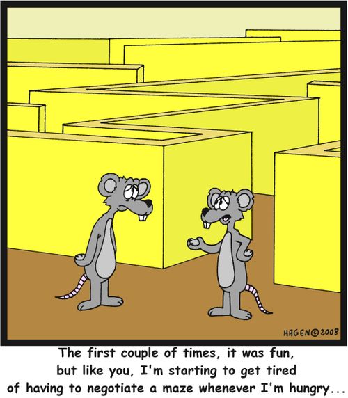 'The first couple of times, it was fun, but like you, I'm starting to get tired of having to negotiate a maze whenever I'm hungry...'