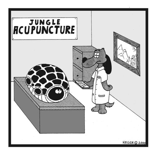 Tortoise hiding from acupuncturist.