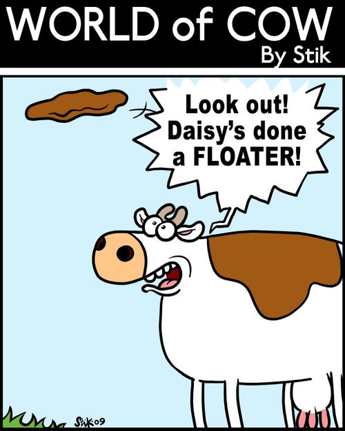 Look out! Daisy's done a flaoter!