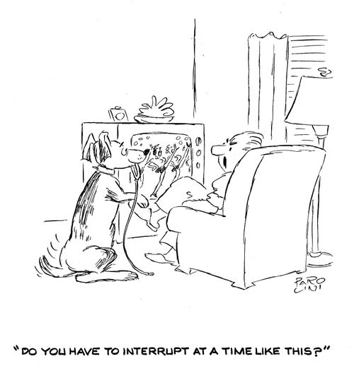 'Do you have to interrupt at a time like this?'