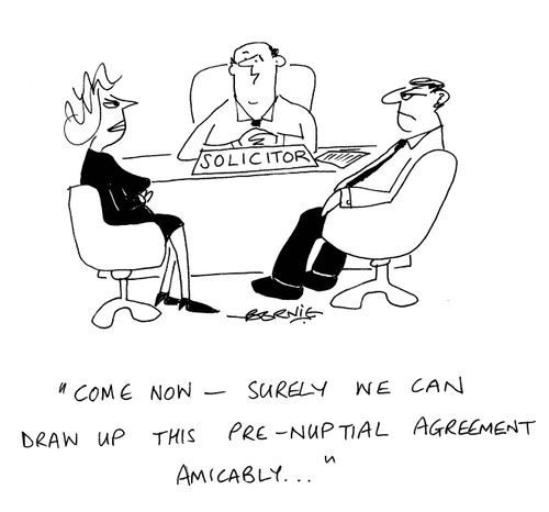 'Come now - surely we can draw up this pre-nuptial agreement amicably.'