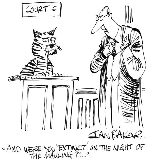 'And were you 'extinct' on the night of the mauling?!...'