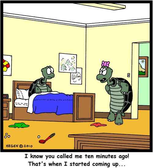 'I know you called me ten minutes ago! That's when I started coming up...'