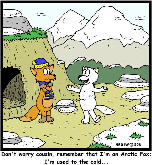 'Don't worry cousin, remember that I'm an Arctic Fox: I'm used to the cold...'
