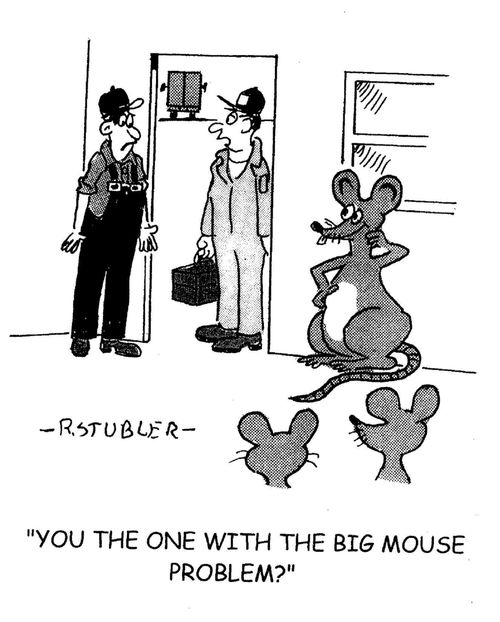 'You the one with the big mouse problem?'
