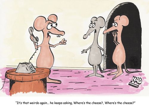 A mouse answers the phone - 'It's that weirdo again... he keeps asking Where's the cheese? Where's the cheese?'