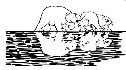 Polar bears and reflections #3 Three bears.