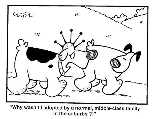 "Why wasn't I adopted by a middle-class family in the suburbs?"