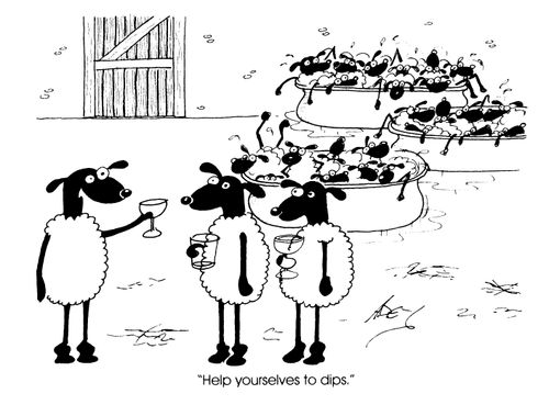 "Help yourselves to dips."