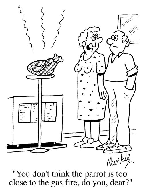 "You don't think the parrot is too close to the gas fire, do you, dear?"
